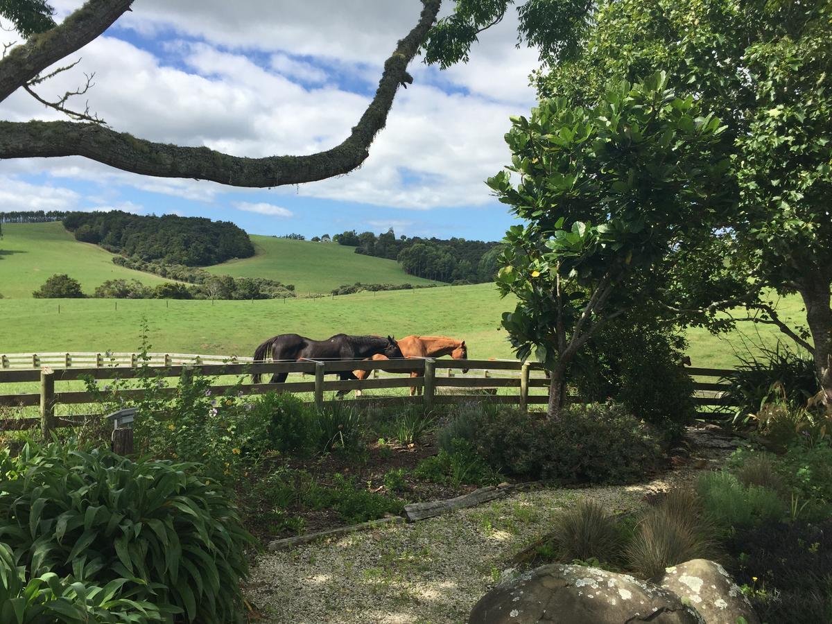 Quail Lodge Nz Snells Beach Екстериор снимка